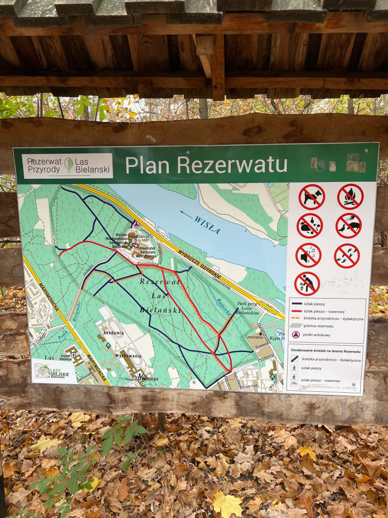 Las Bielański - Warszawa