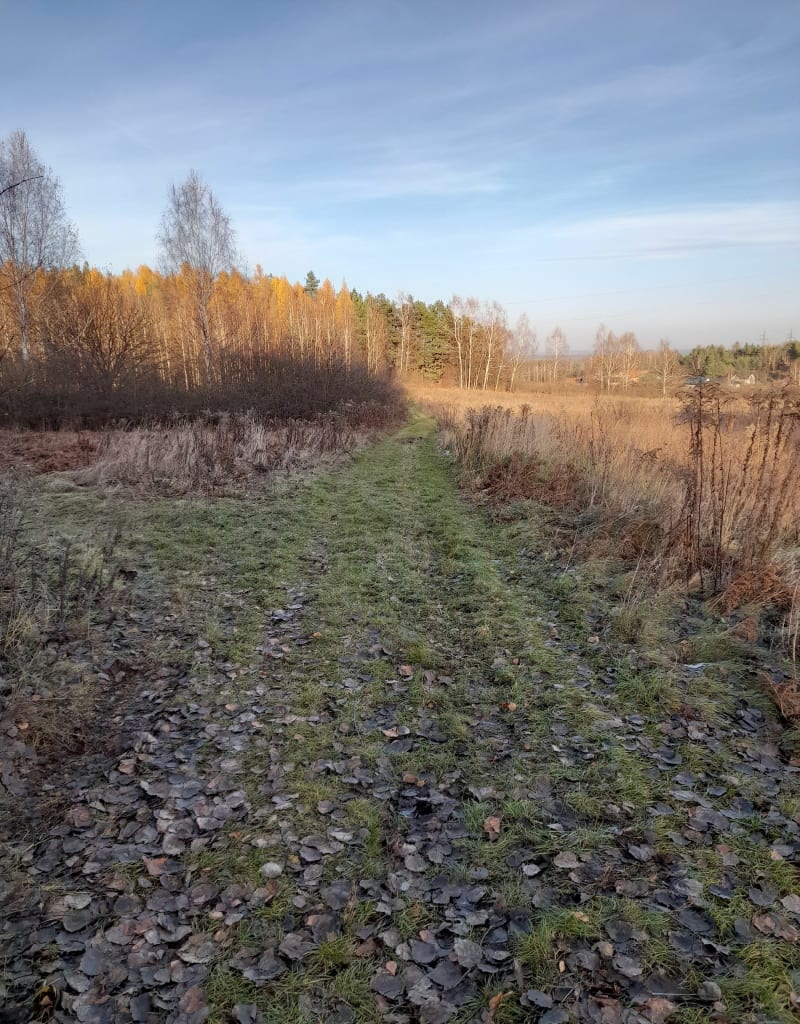 Spokojny spacer - Jaworzno