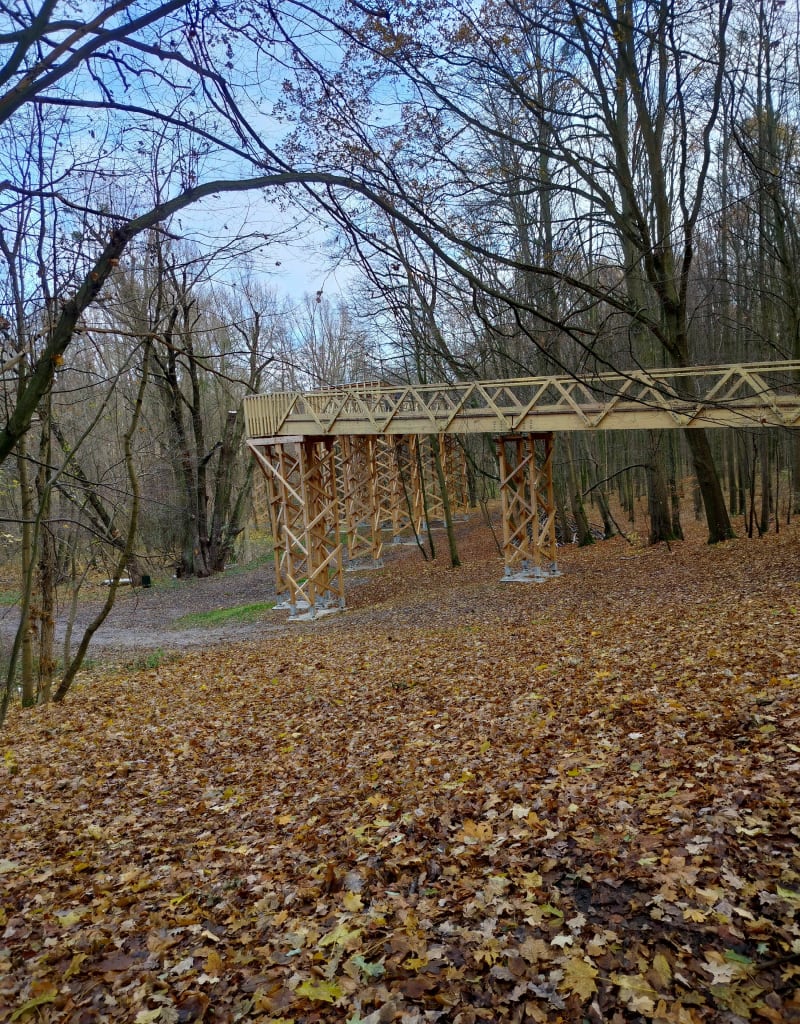 Kładka wśród drzew w Poznaniu - Poznań