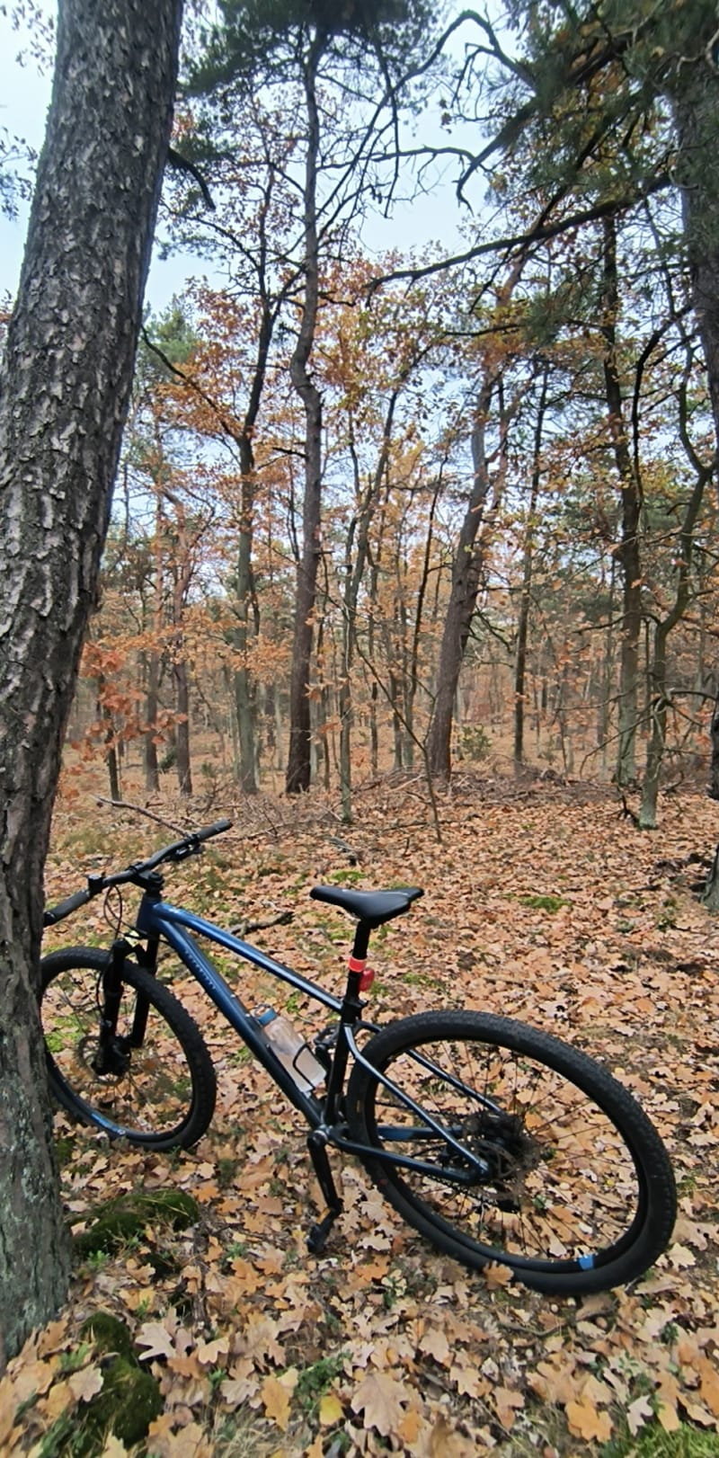MTB po Mazowieckim Parku Krajobrazowym - Warszawa