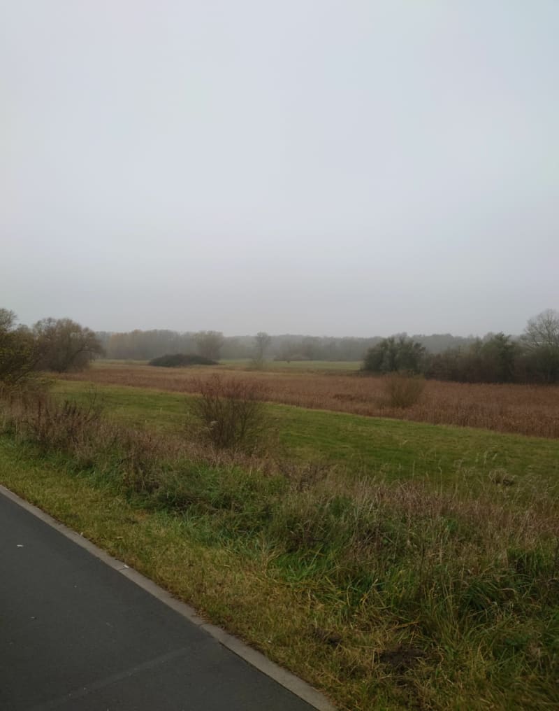 Malownicza Wartostrada w Poznaniu - Poznań