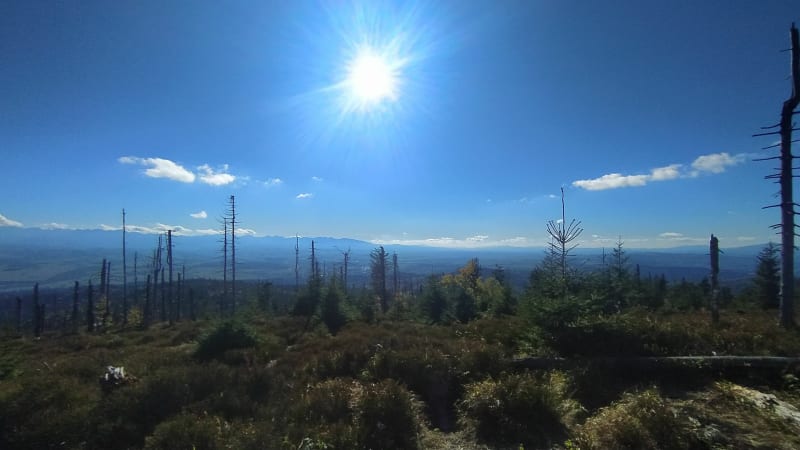 Turbacz-ochotnica gorna - Ochotnica Górna
