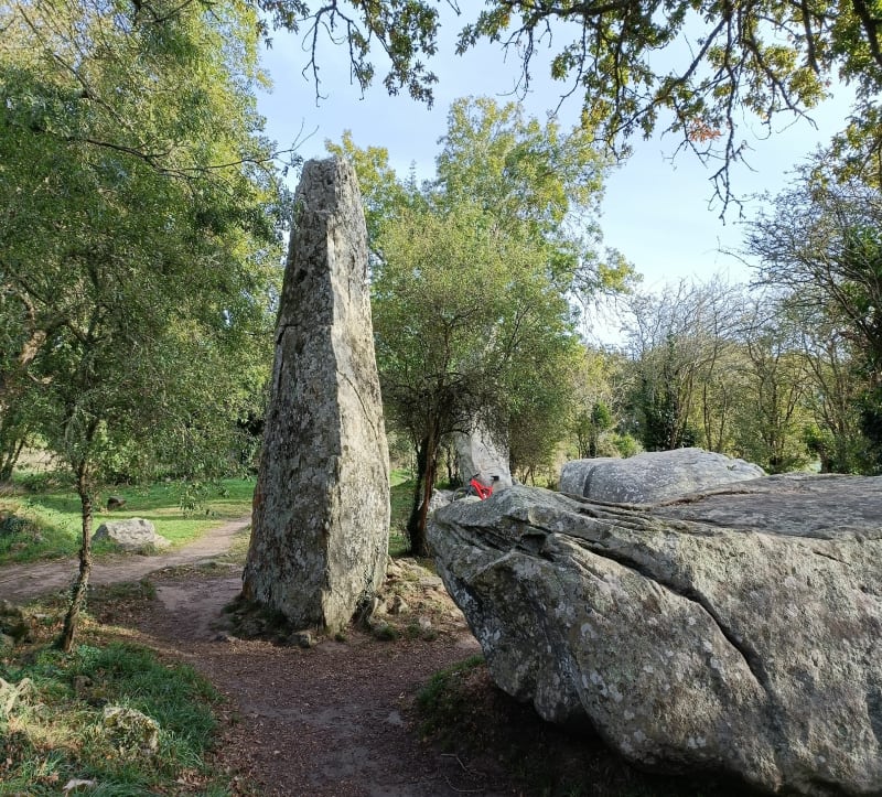 Auray - Carnac - Auray