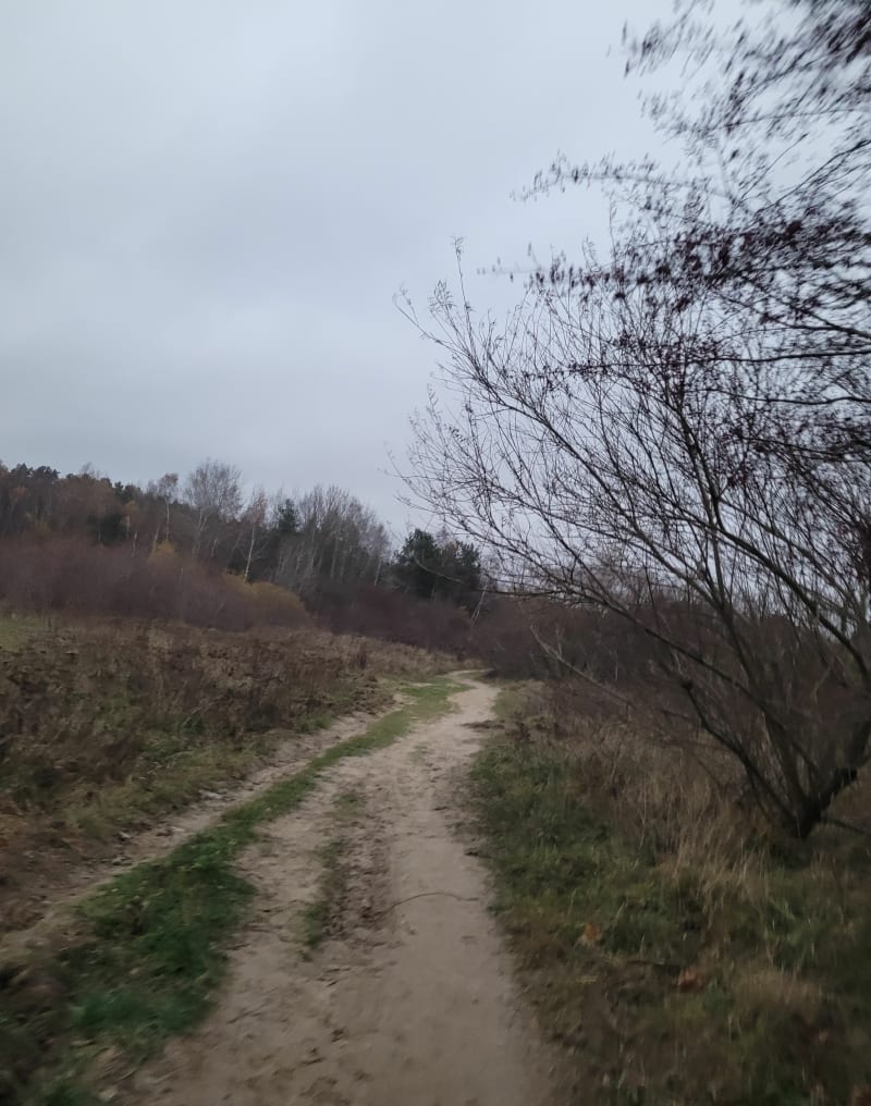 Popołudniowy bieg i 8 podciągnięć - Gdańsk