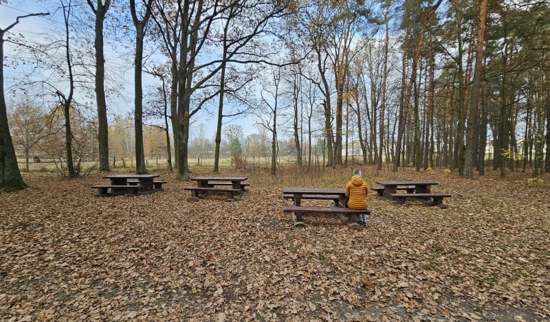 Pętla na Paparocany - Tychy