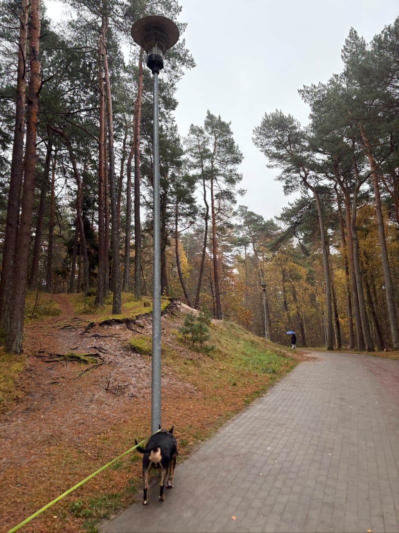 Spacer na plażę zachodnią w Ustce - zejście "dwa i pół" - Ustka