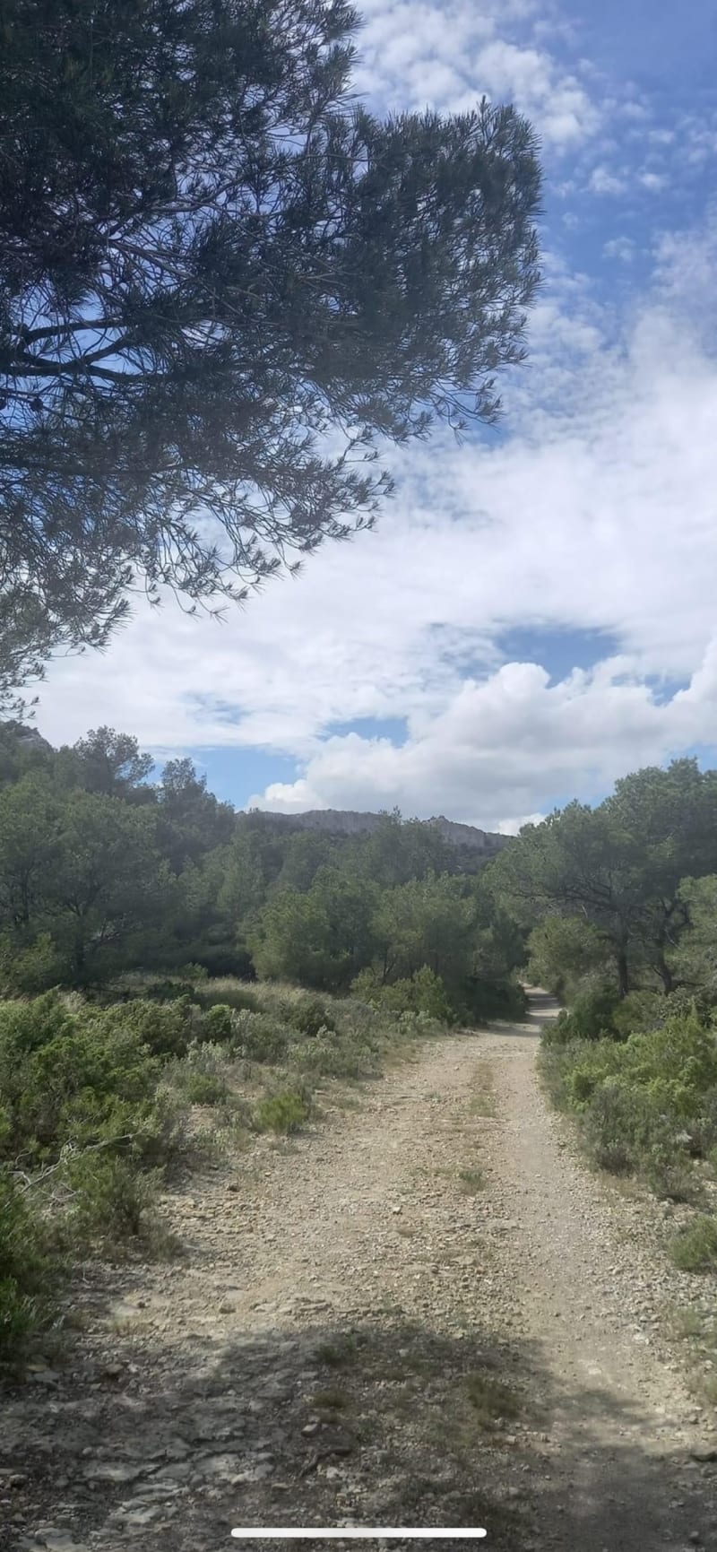 VTT clape de Lespignan - Lespignan