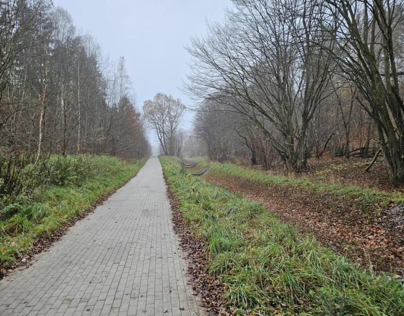 Potok wiczlinski - Gdynia