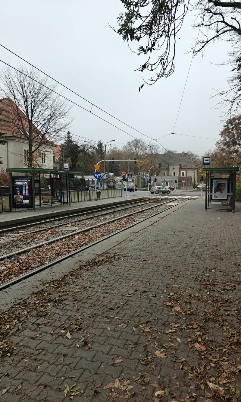 Pętla wokół Parku Sołackiego - Poznań