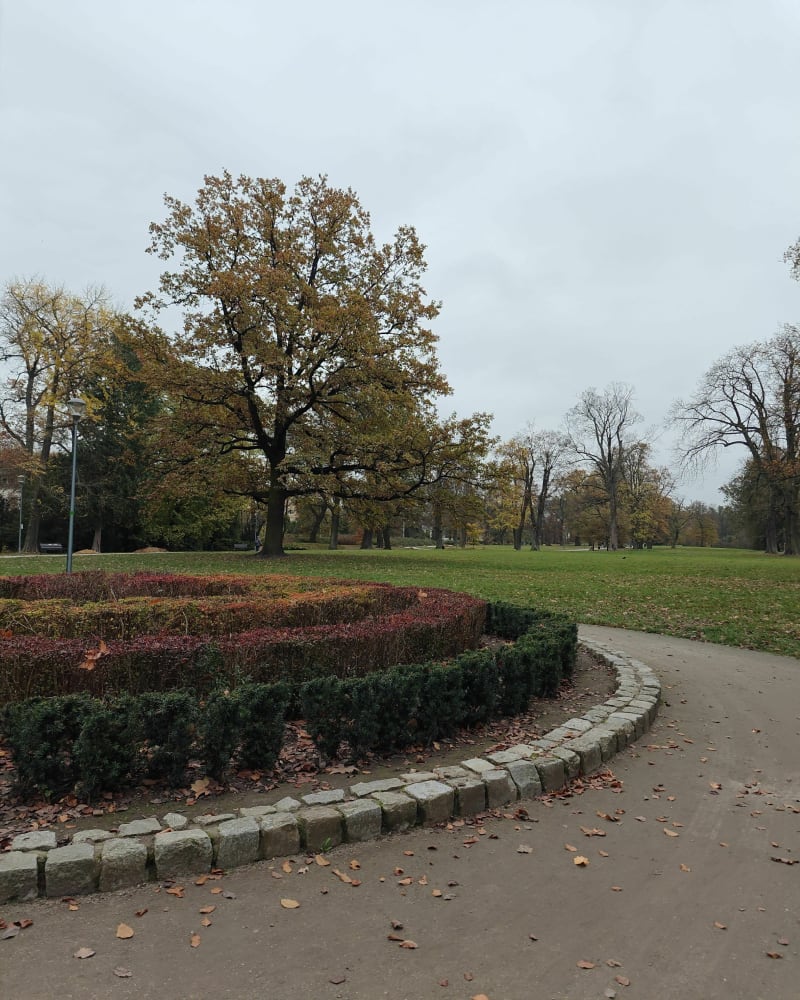 Biegowo-spacerowa pętla po parku klecińskim - Wrocław