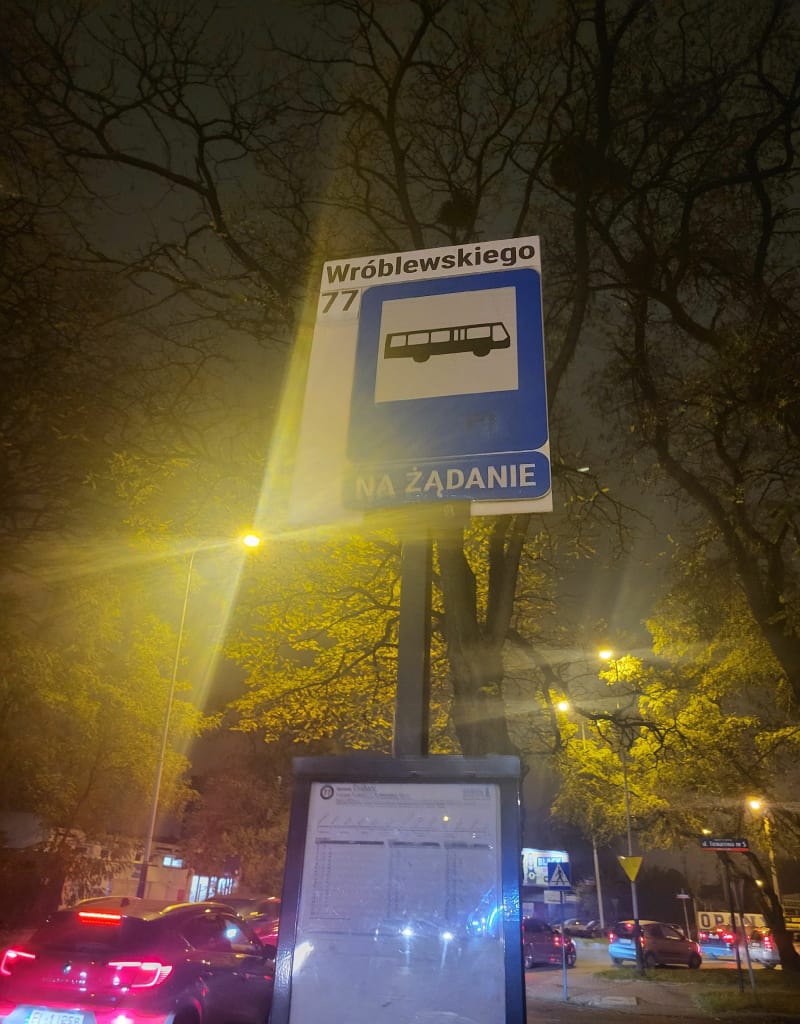 Politechnika Łódzka od tyłu - Łódź
