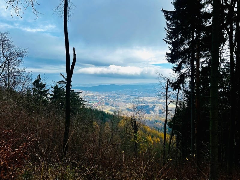 Wędrówka na Palucha i okolice - Boguszów-Gorce