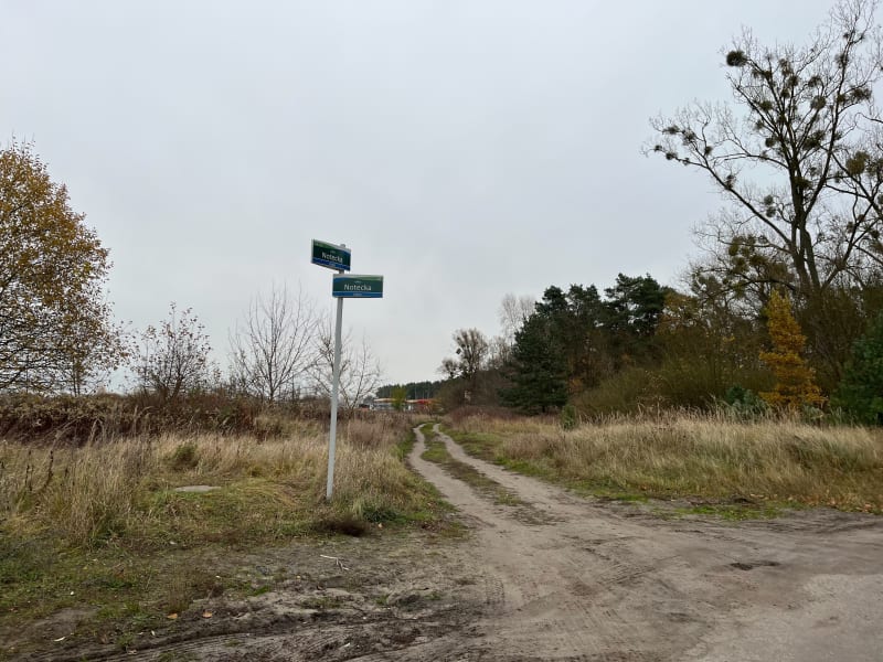 Spacer uliczkami w Szczecin Dąbiu - Szczecin