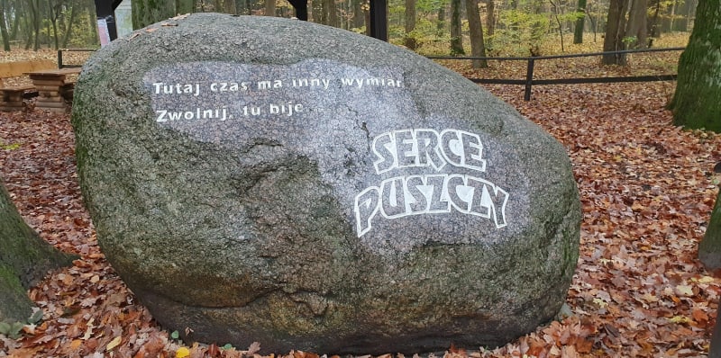 Szczecin - Trasa Rowerowa 20A - Bieszczadzka - Serce Puszczy - Szczecin