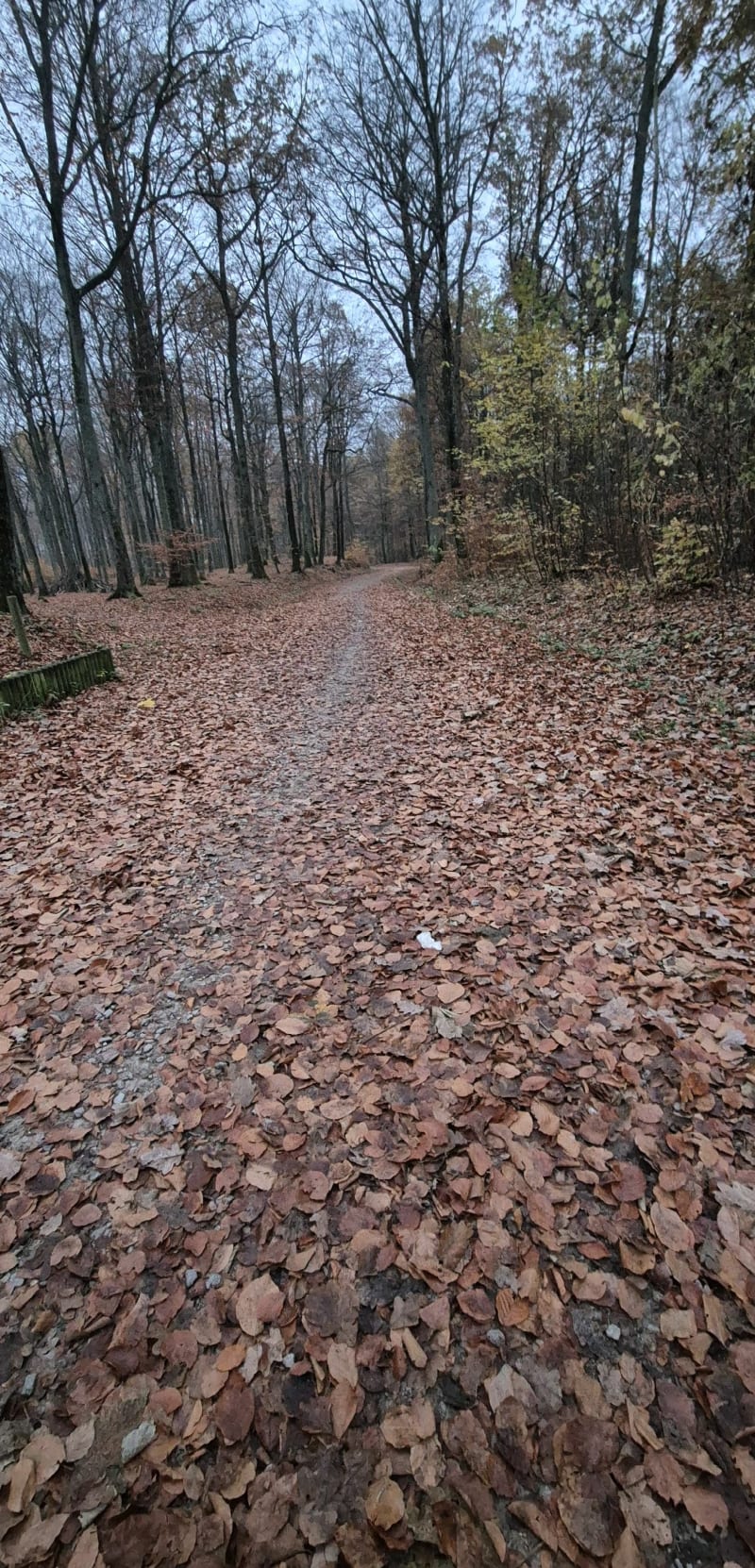 Spokojny spacer - Gdańsk