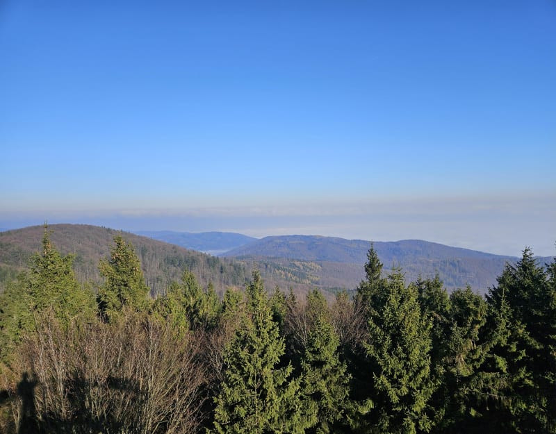 Przełęcz Jugowska- Rymarz- Słoneczna- Kalenica- Zygmuntówka - Jugów
