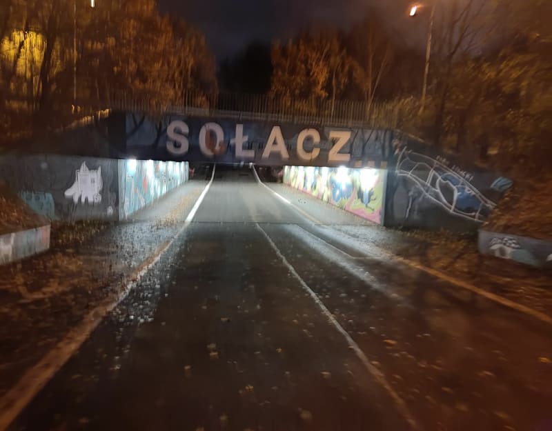 Z Botanicznej do parku Wodziczki przez Sołacz - Poznań