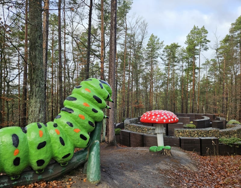 Marszewo lasem - Gdynia