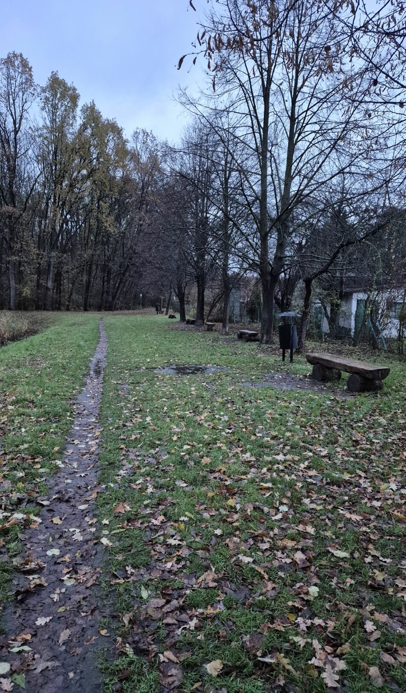 Spacer dookoła Lasku Kuźnickiego - Wrocław