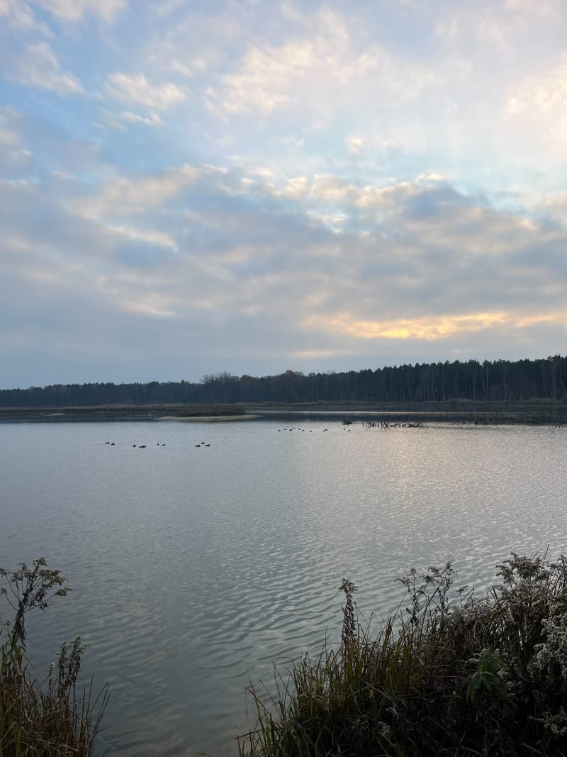 Kampinos z przystankiem nad rozlewiskiem - Lipków