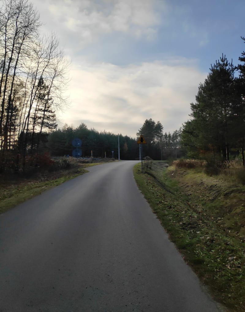 Pętelka czarniejska - Czarna