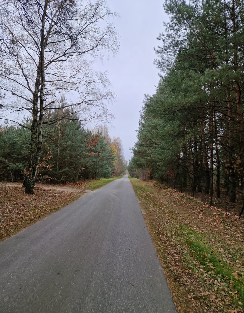 Na spokojnie pętla Sochaczew- Żelazowa Wola - Sochaczew