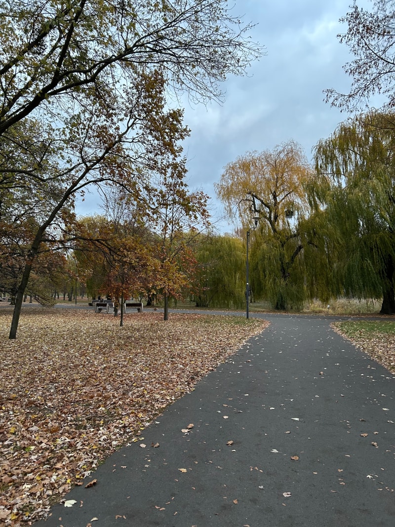 Park Jana Pawła II  - Wilda Poznań - Poznań