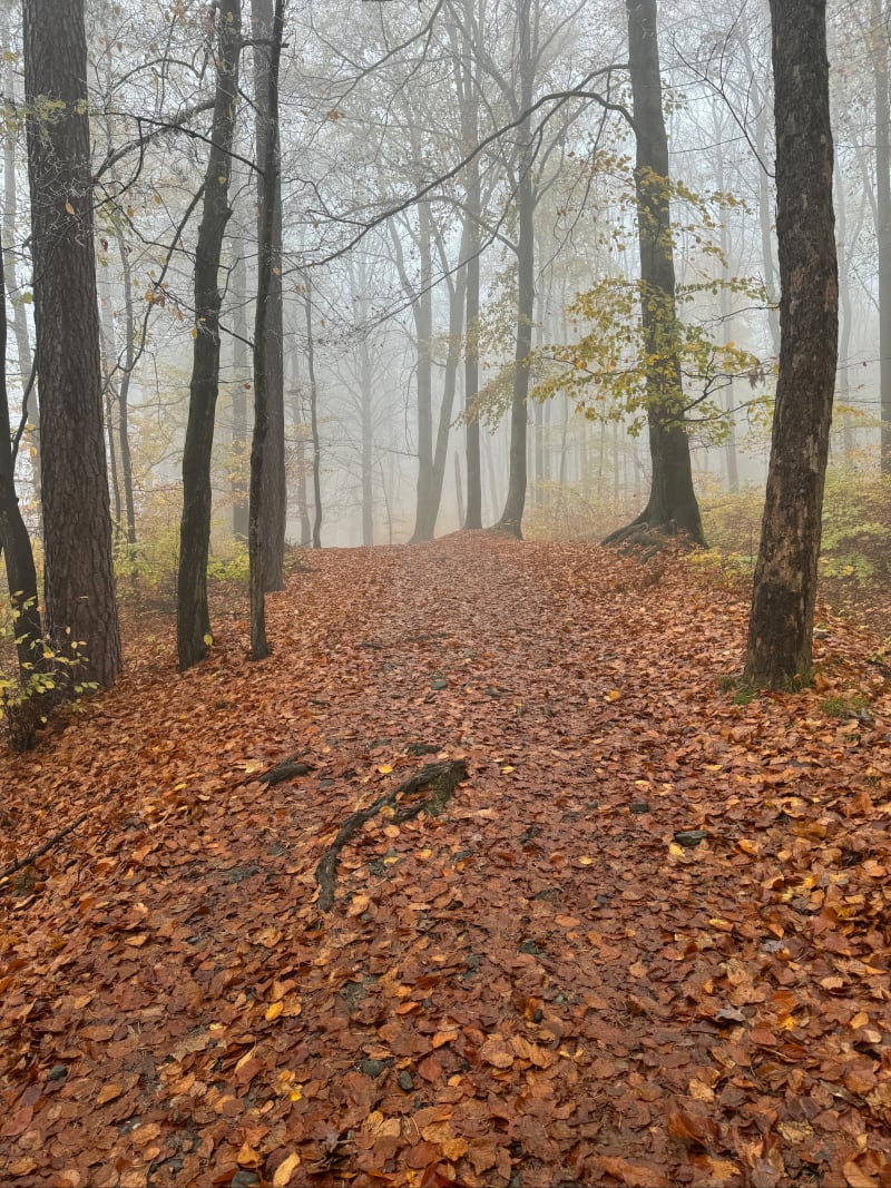 Jesienna wyprawa na Ślęże - Sobótka