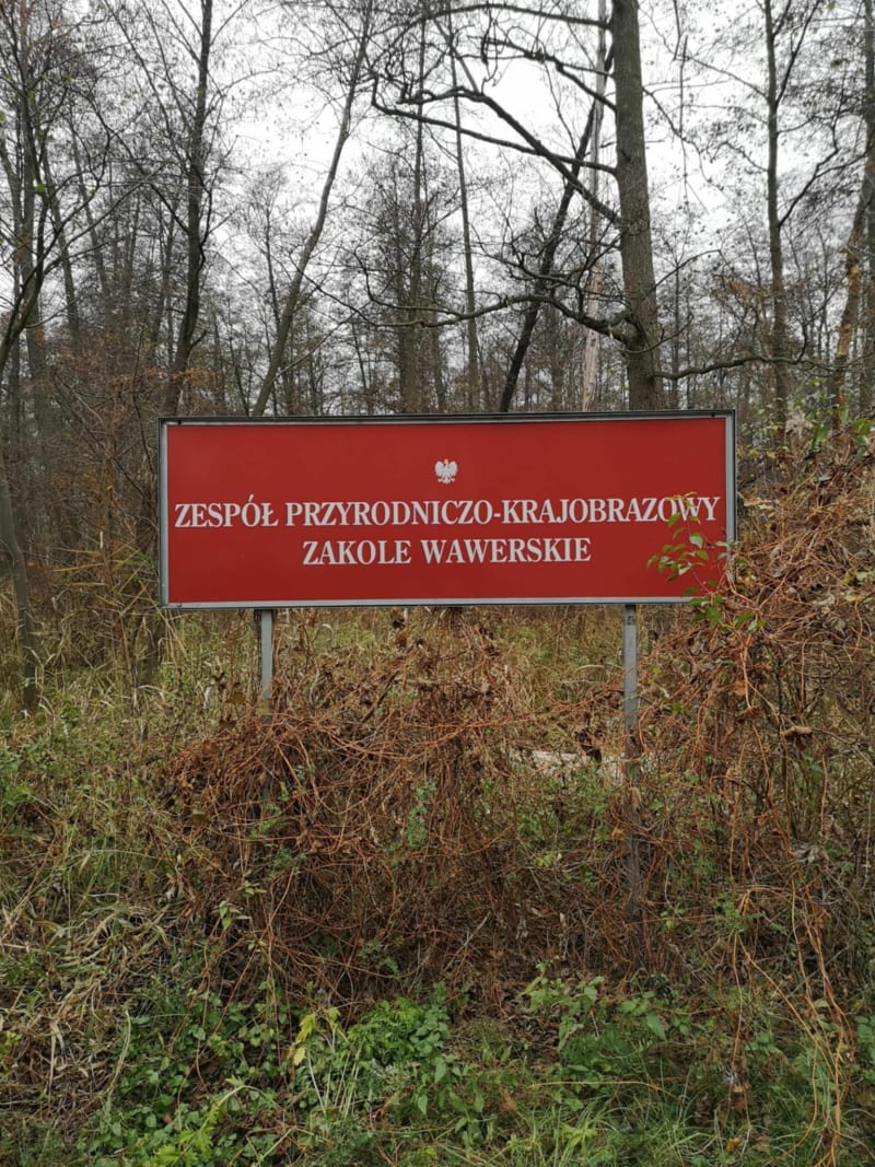 Dokoła Zakola Wawerskiego - Warszawa