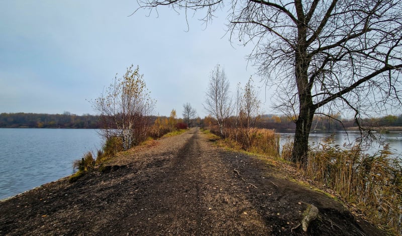Żabie Doły, park Bytkowski - Bytom