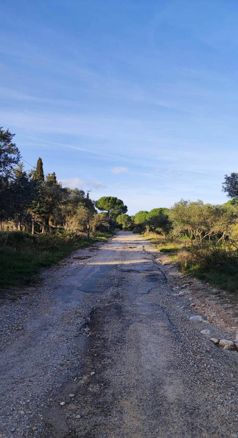 Dans le vignoble Lunellois - Lunel