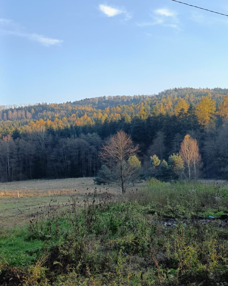 Z Kornatki na Trupielec - Kornatka