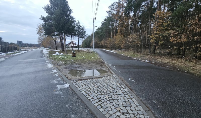 Nieborowice - spacer w lesie - Nieborowice