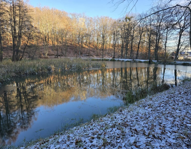Pętla Gdańsk Maćkowy, Park Ferberów - Gdańsk