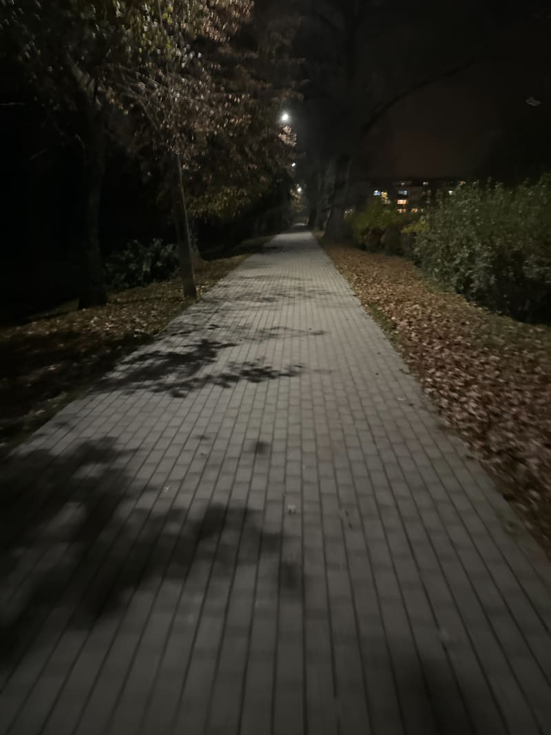 Spacer przez park miejski i okolice zamku Krzyżackiego - Nidzica