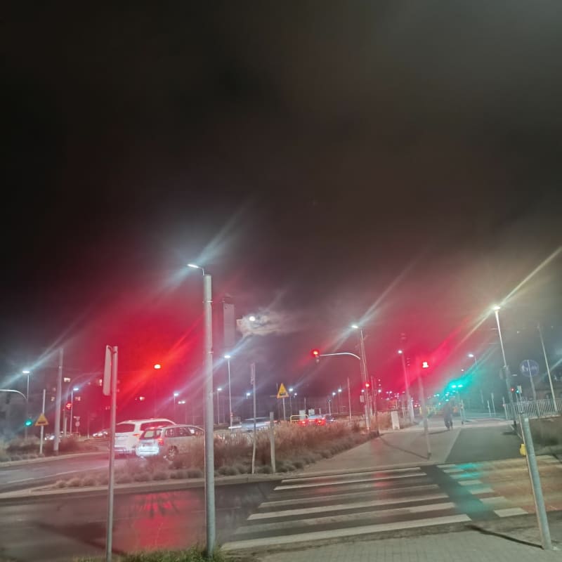 Wędrówka Toruń - Toruń