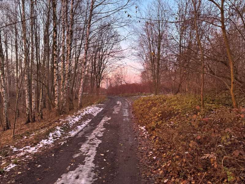 Stawiki Zone - Sosnowiec