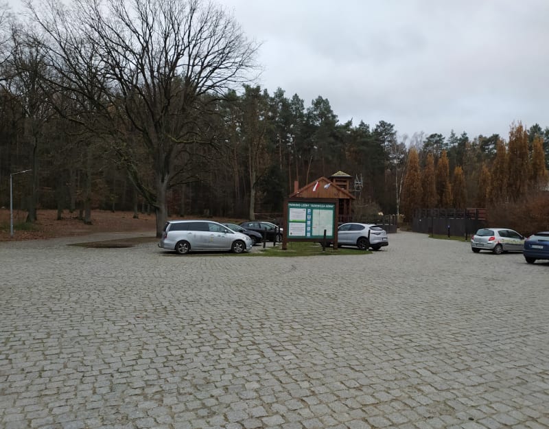 Puszcza Zielonka - Dziewicza Góra - Czerwonak