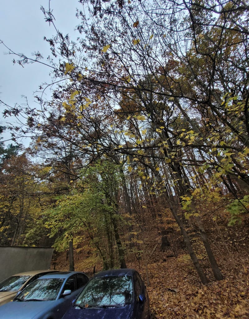 Wielka Gwiazda - Sopot