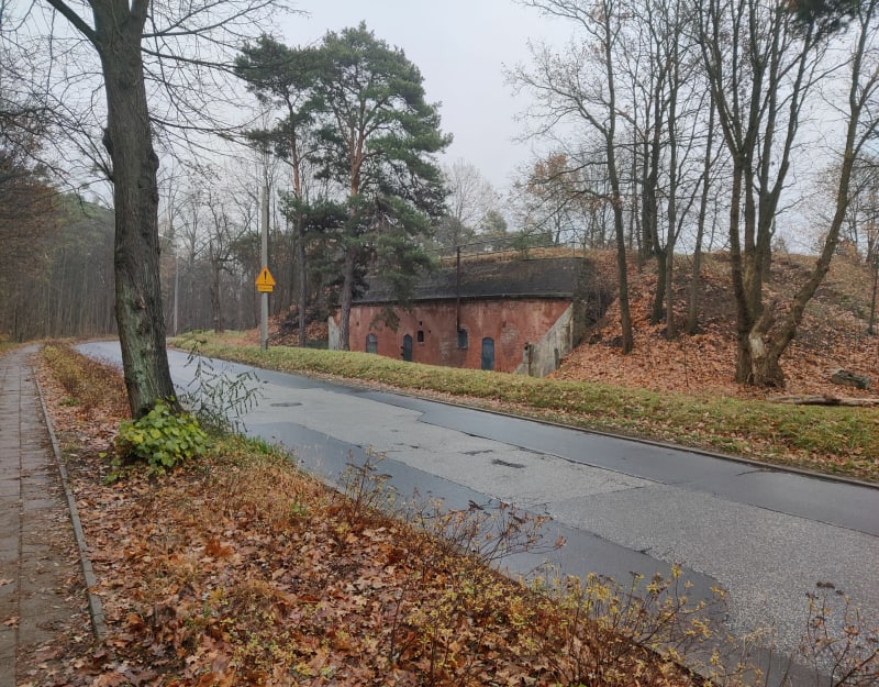 Pętla Rudak - Toruń