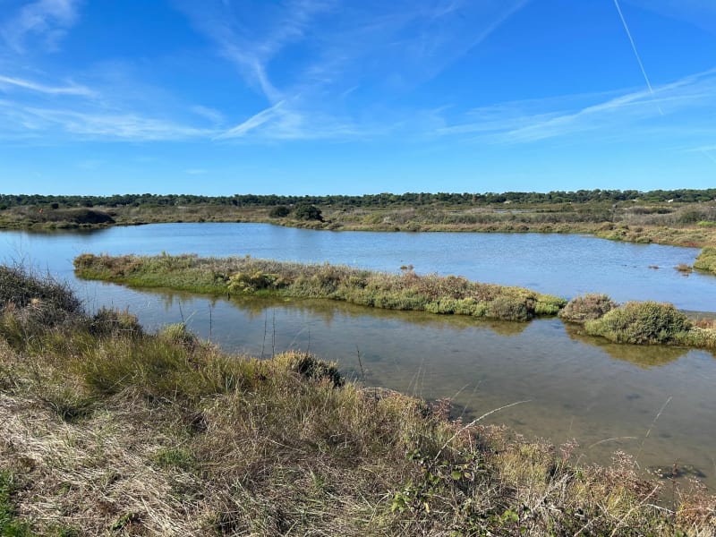 Marais salants d’Oléron - Le Château-d'Oléron