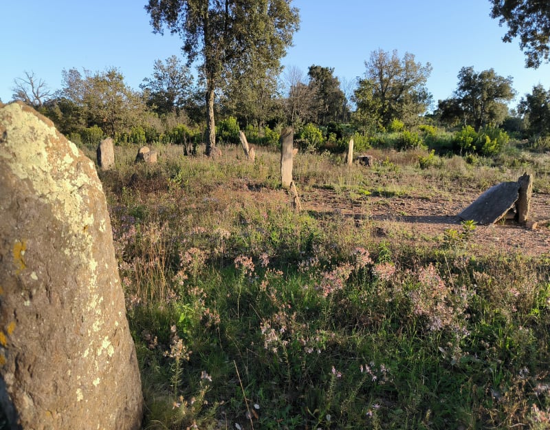 Balade des Dolmens dans la Forêt des Terriers - Les Arcs
