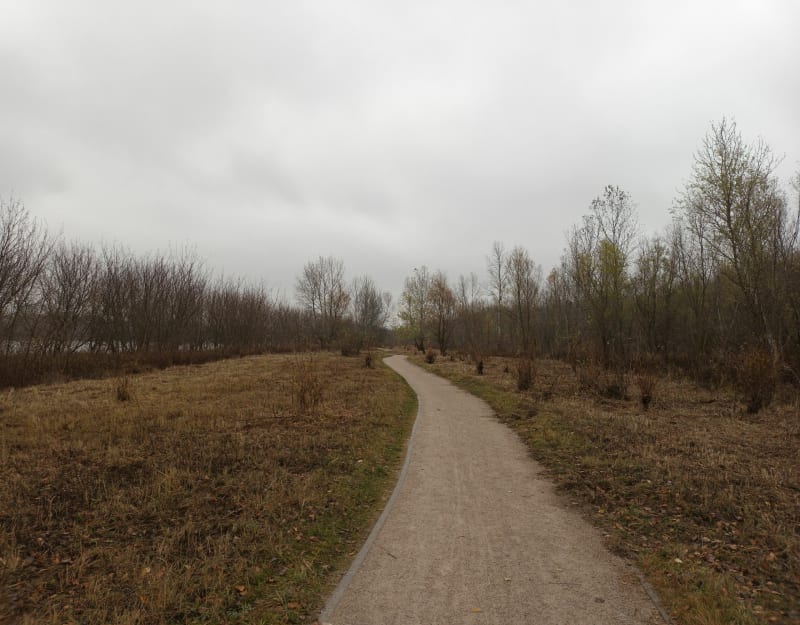 Pętla nad Wisłą w pobliżu Centrum Olimpijskiego - Warszawa