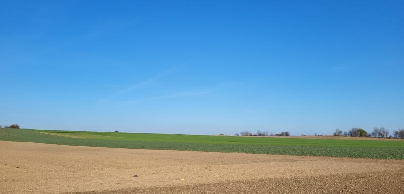 W cieniu samolotów - Rząska