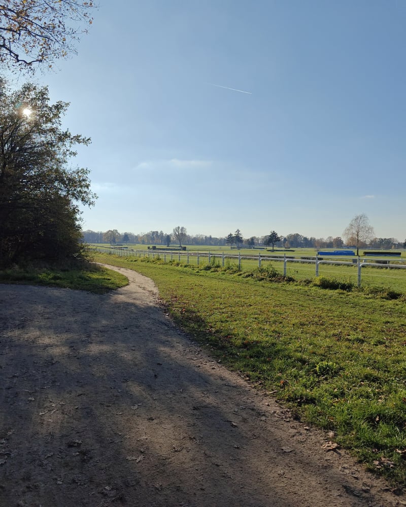 Ścieżka pieszo-rowerowa wokół toru wyścigów konnych - Wrocław
