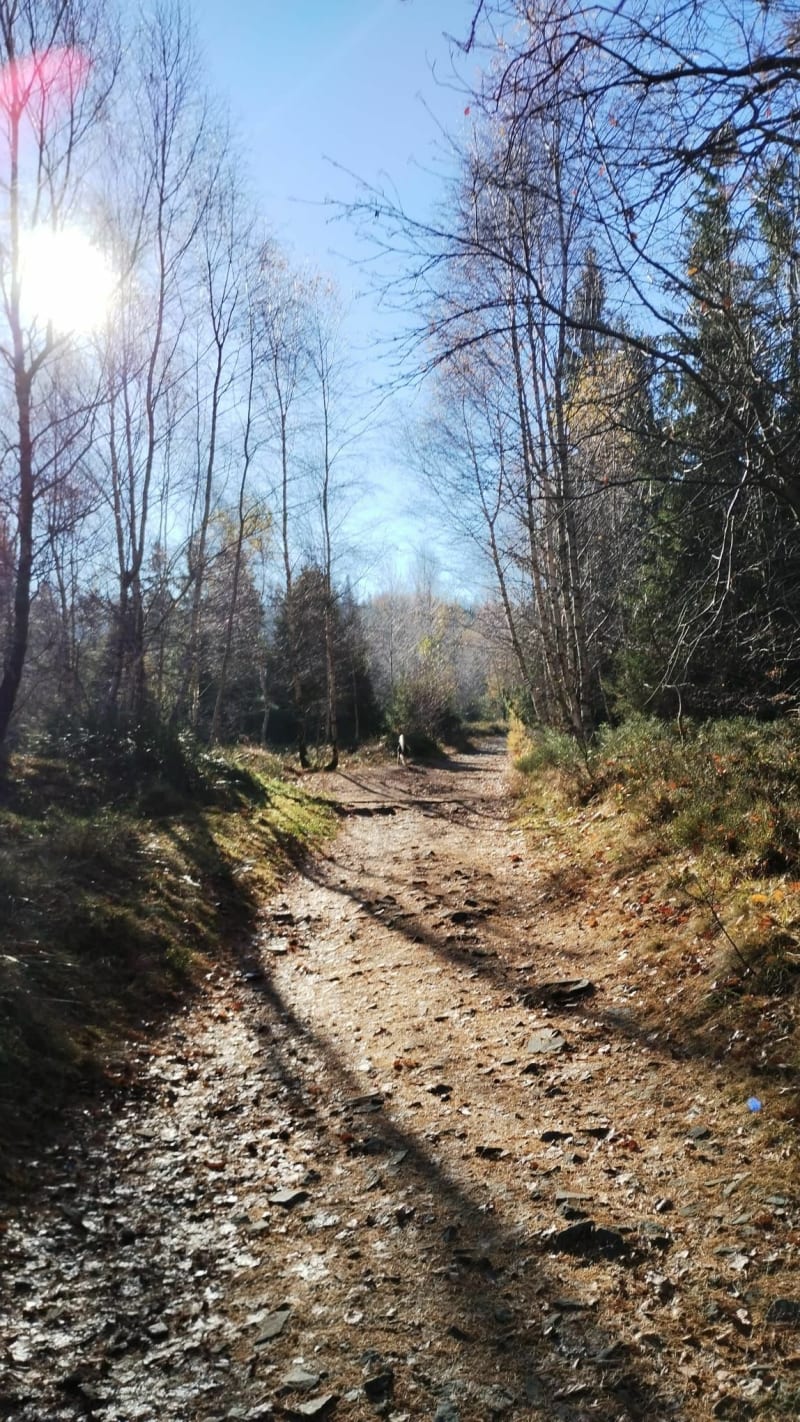 Magurka od Stalownika - Bielsko-Biała