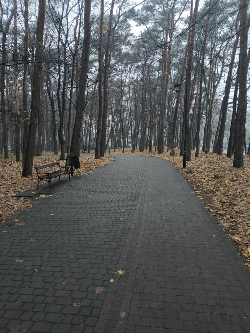 Spacer po Parku Sosnowym w Ciechocinku - Ciechocinek