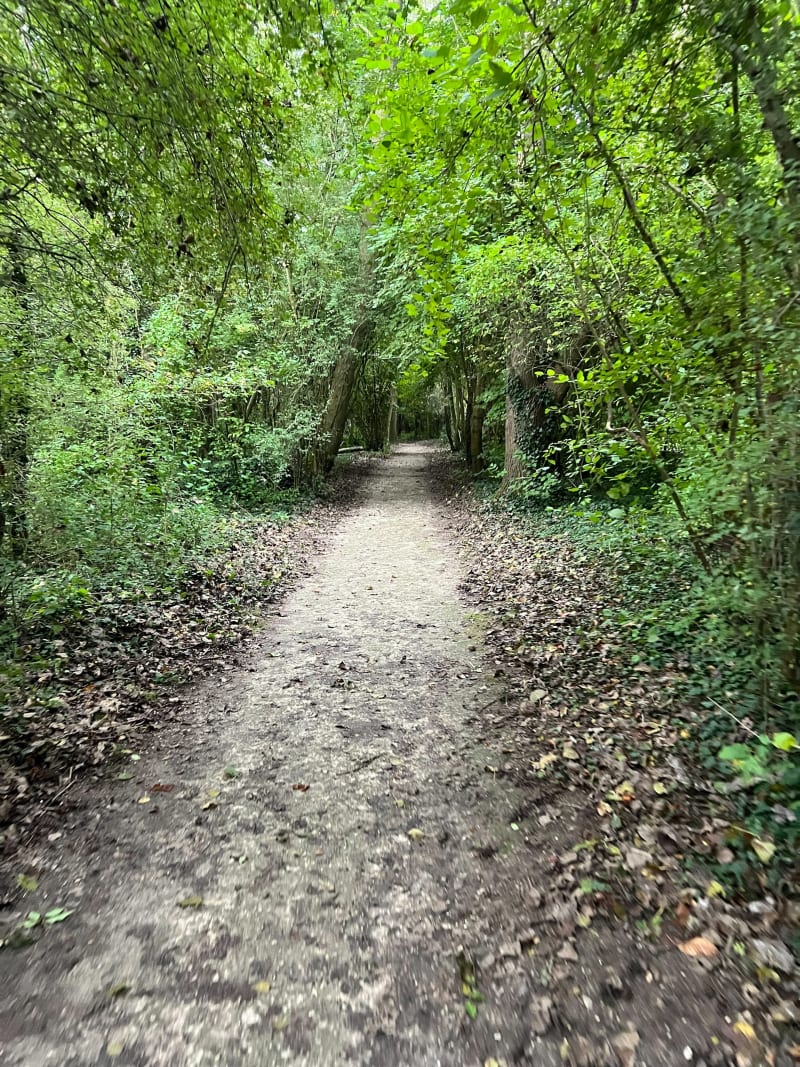 Au bord de Marne - Neuilly-Plaisance