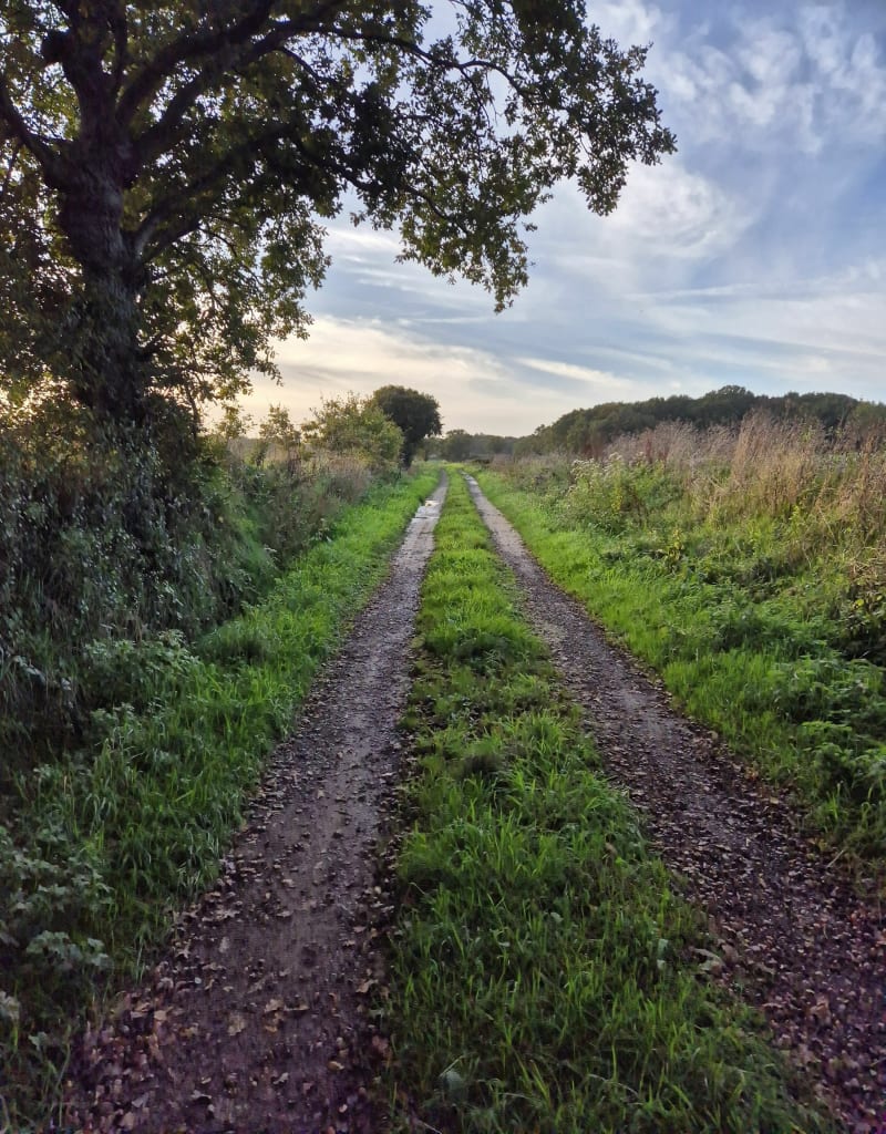 Balade à Saint-Coulomb - Saint-Coulomb