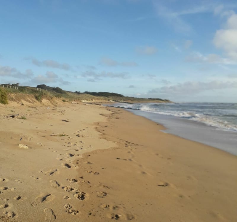 Découverte des grands espaces côte ouest d'Oléron - Saint-Pierre-d'Oléron
